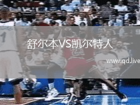 舒尔本VS凯尔特人
